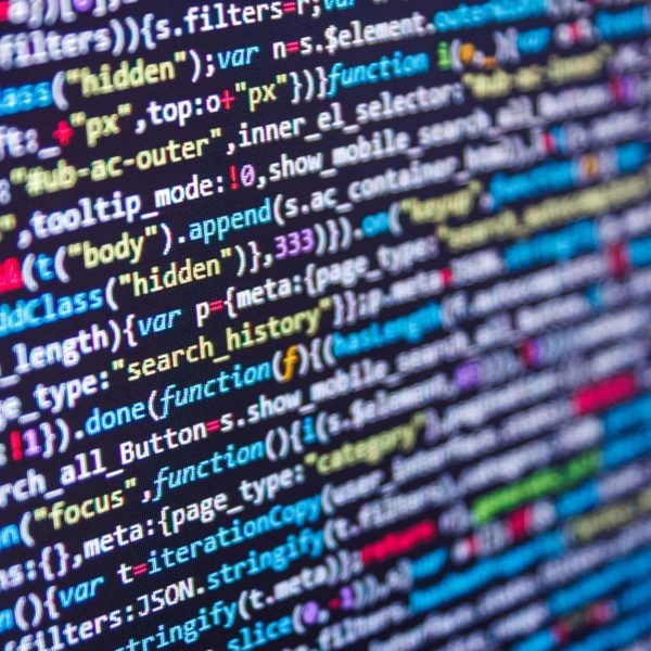Should I Use a Web Designer or Web Developer