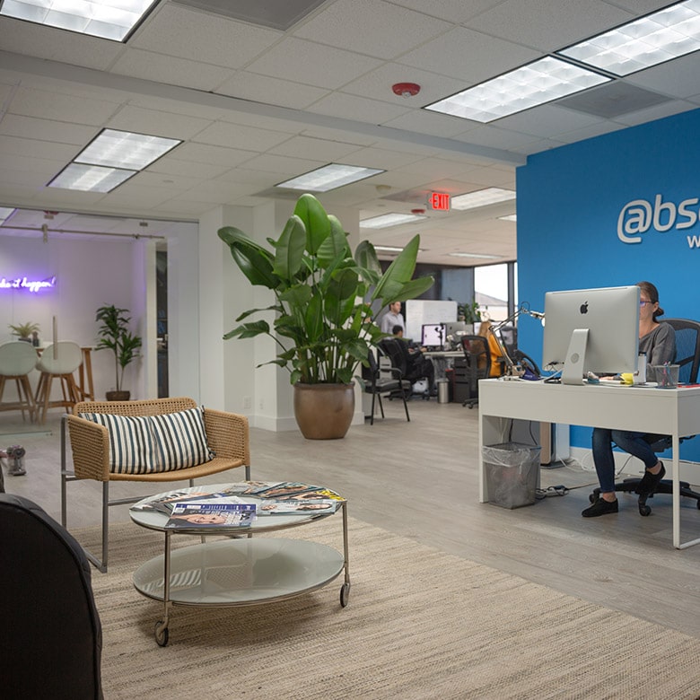absolute-web-miami-team-at-work-7