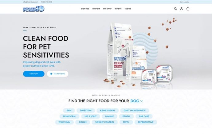 absolute-web-portfolio-shopify-forza10usa-1