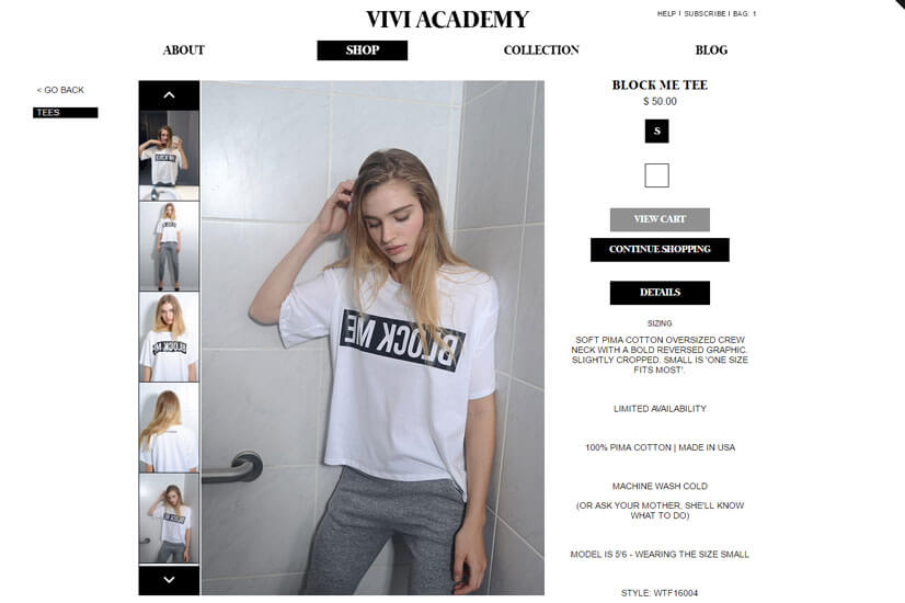 Vivi Academy - Absolute Web