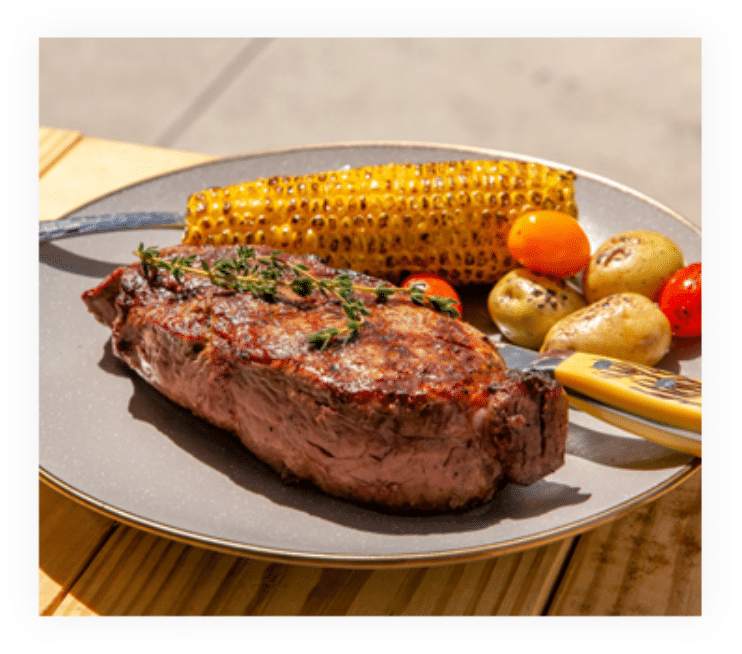 grand-western-steaks-absolute-web-1