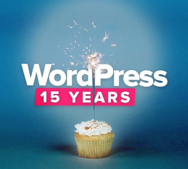 wordpress-15-years-development-agency